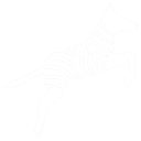Zoo Code